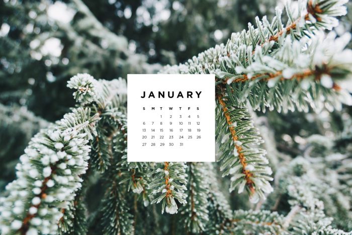 January calendar desktop wallpapers 2021 wallpaper backgrounds computer hello wallpaperaccess kolpaper wallpapersafari tablet cave