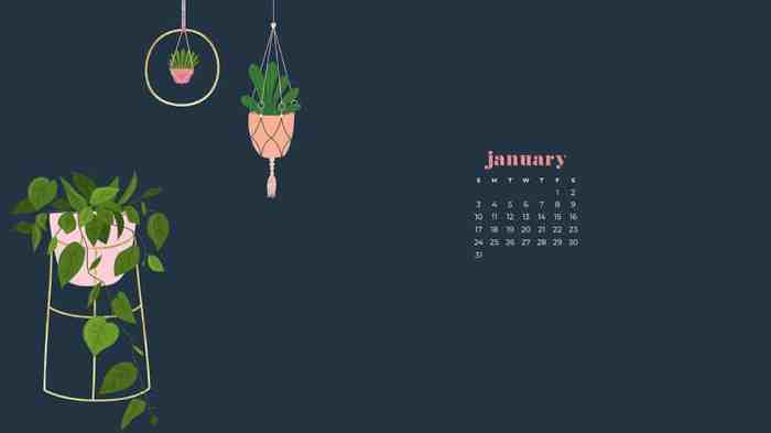 January wallpaper aesthetic